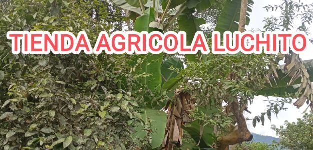 Tienda Agricola Luchito