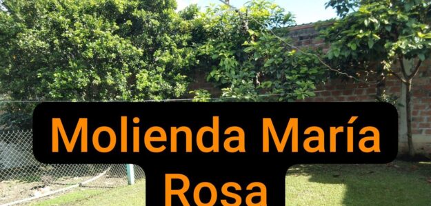 Molienda MariaRosa