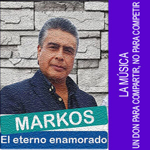 ARTISTA PROFESIONAL (SERVICIOS MUSICALES)