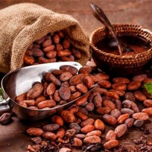 Cerezas de cacao orgánico