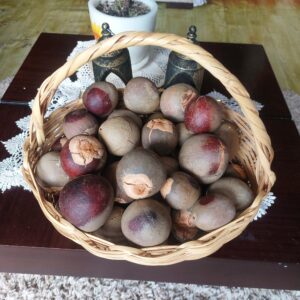 70 PEPAS DE AGUACATES