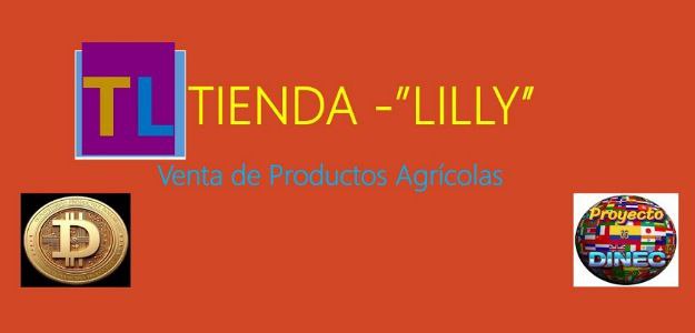 Tienda Lilly