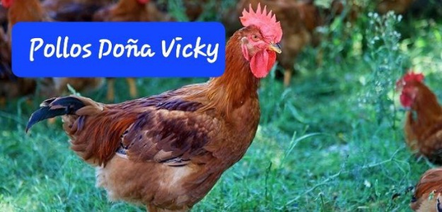 Pollos-doña-Vicky