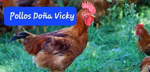 Pollos-doña-Vicky