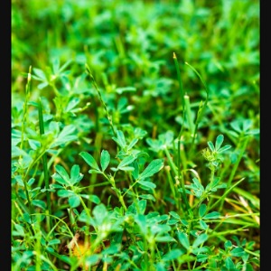 Lote de terreno 360 m.