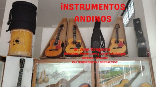 Instrumentos Andinos