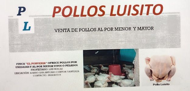 Pollos Luisito