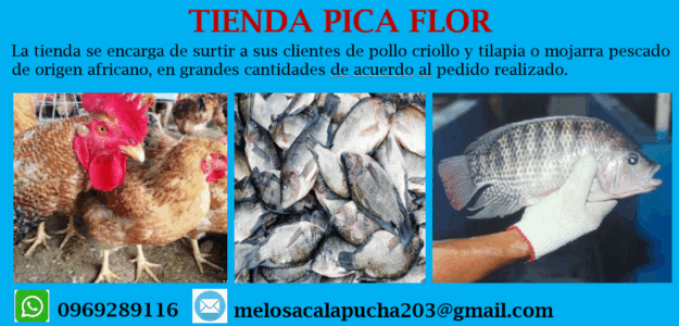 Tienda Pica Flor