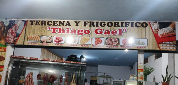 Tercena y Frigorífico Thiago Gael
