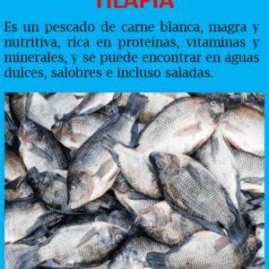 Tilapia