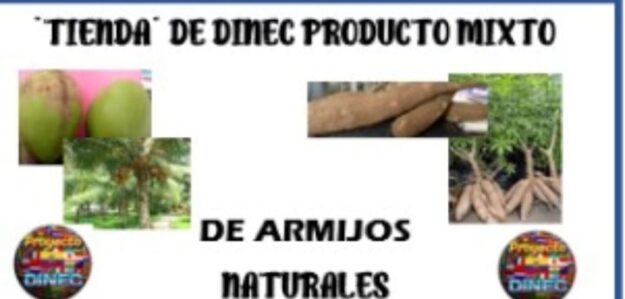Tienda DINEC Vitacura D Manuel Pastuña
