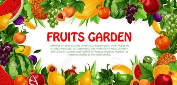 Tienda productos neisy