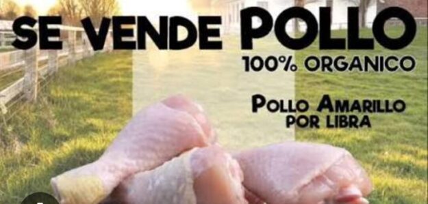 Tienda los pollos