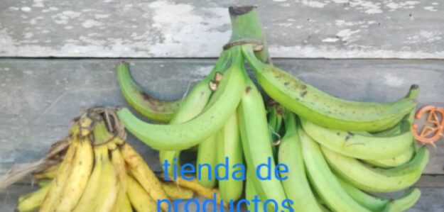 Tienda de productos agricula