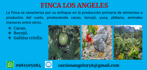 Finca Los Angeles