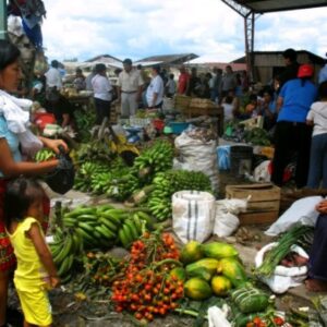 Productos de la zona