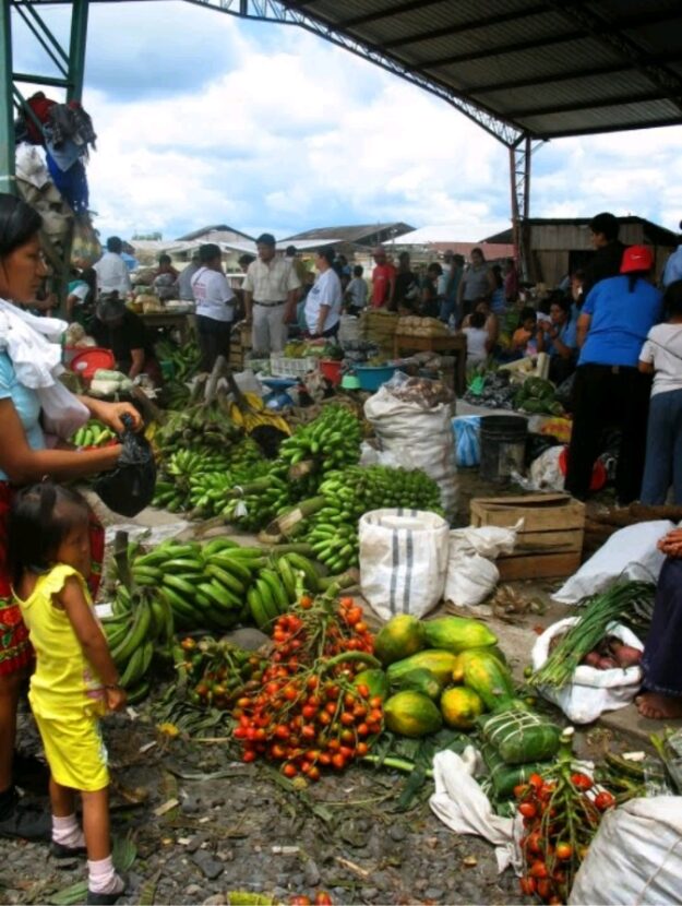 Productos de la zona