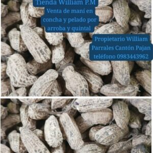 Mani en concha y pelado