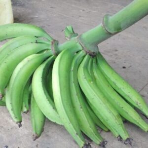 Tienda de productos agriculas