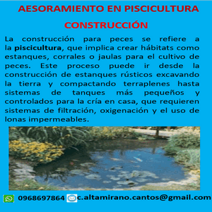Asesoramiento Construcción