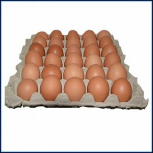 Cubeta de huevos