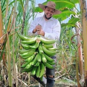 Productos agrĂcolas