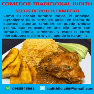 Seco de pollo campero