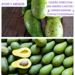AGUACATES DE CEDA