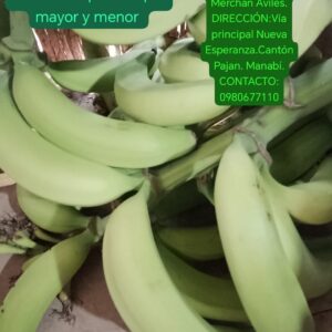 Racima de platano