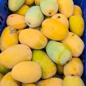 Mangos