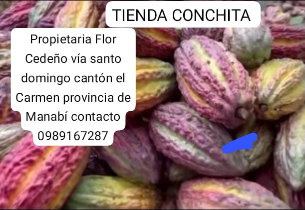 TIENDA CONCHITA