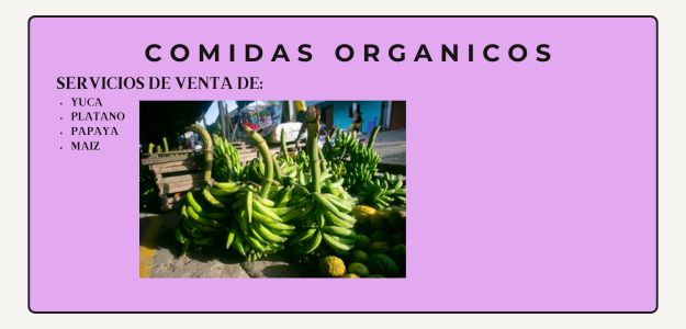 Comidas organicos