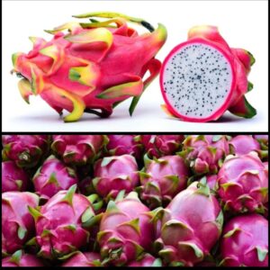 Pitahaya