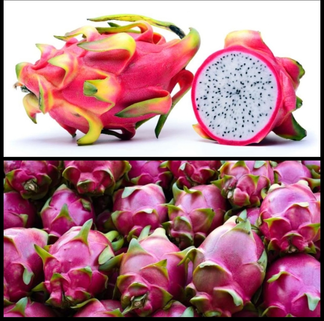 Pitahaya