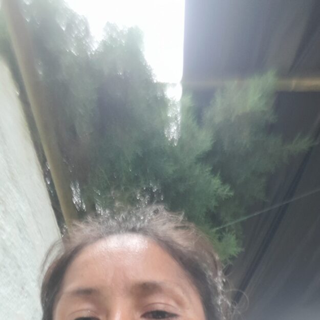 La granja de Veronica