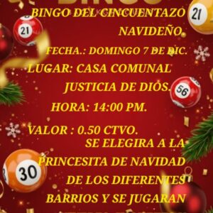 Bingo solidario