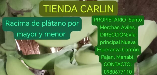Tienda Carlin