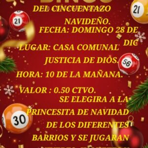 Bingo solidario
