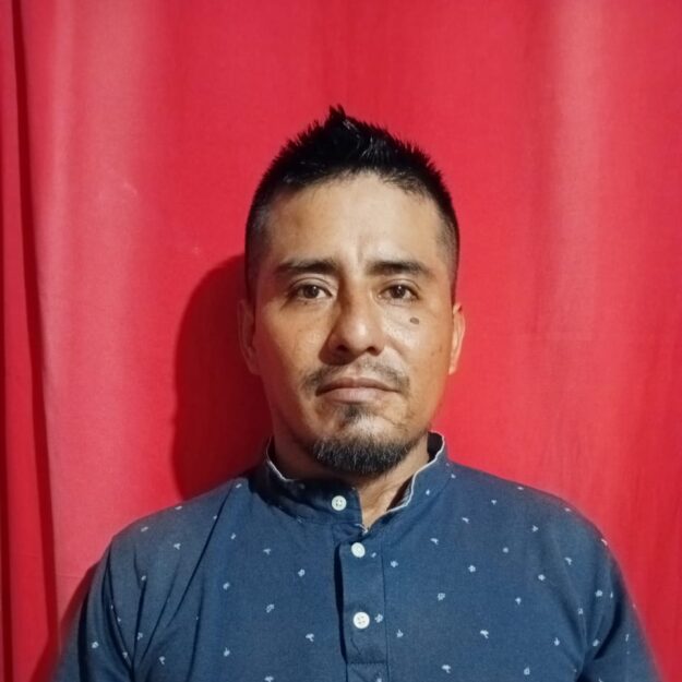 Venta de pollos criollos