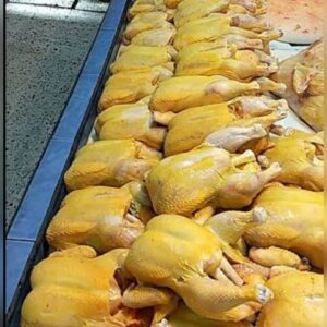 Pollos del campo Jalexa