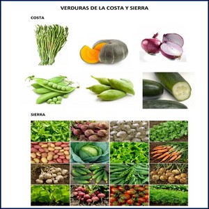 Legumbres Costa y Sierra