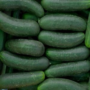 Pepinos