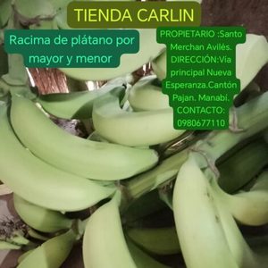 Racima de plátano