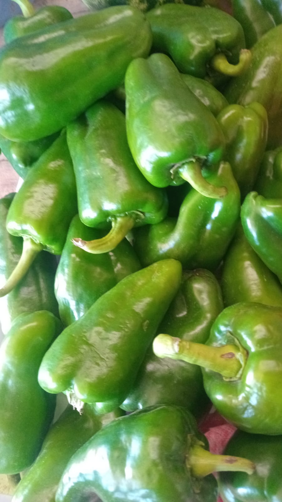 Pimientos