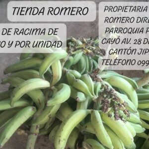 Plátano barraganete