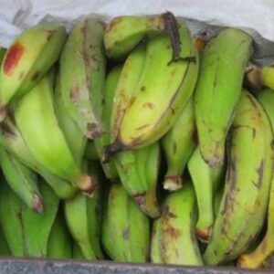 Plátano garrabanete