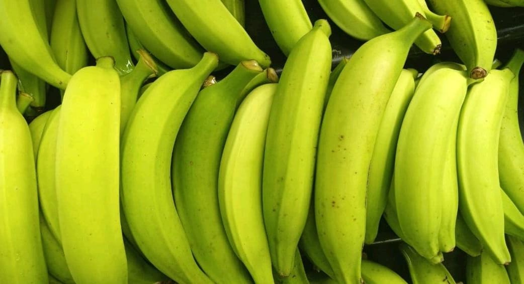 Plátano garrabanete