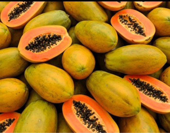 Papaya