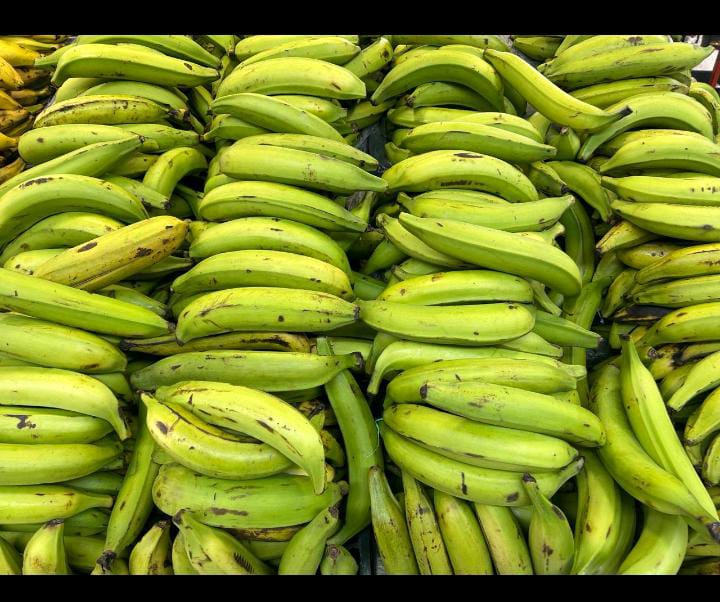 Plátano barraganete