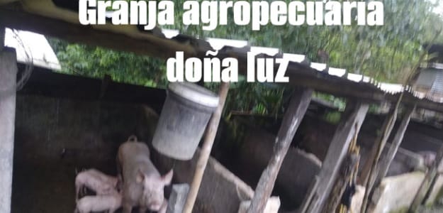 Granja Pecuaria Doña Luz